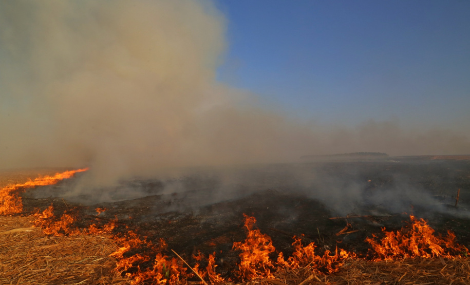 Impacto da seca vai além do abastecimento de água. Foto: Gilson Abreu/AEN