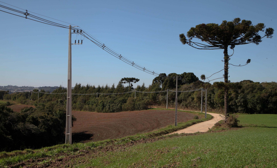Copel investe R$ 1,9 bilhão em 2021 em geração, linhas de transmissão e obras de modernização. Foto:Ari Dias/AEN.