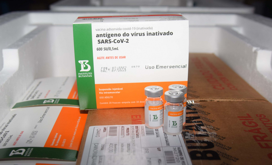 Paraná vai receber lote com mais 366.300 doses da vacina contra a Covid-19. Foto: Américo Antonio/SESA