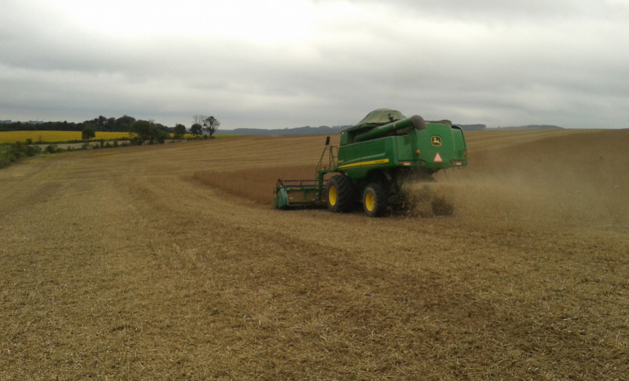 Uso de lodo de esgoto na agricultura completa 10 anos na Região Noroeste - Foto: Sanepar