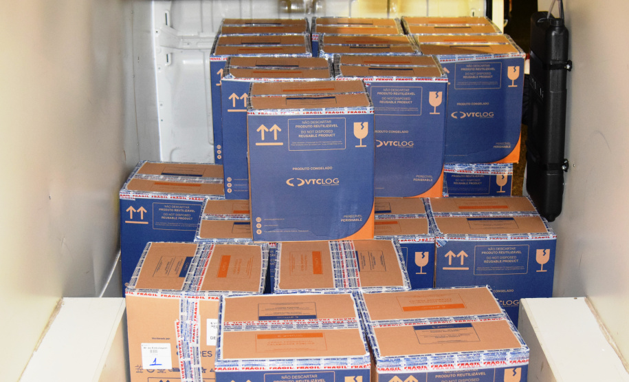 Chegada de vacinas. Foto: Américo Antonio/SESA