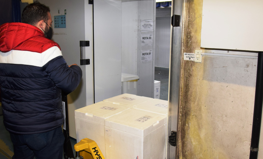 Chegada de vacinas. Foto: Américo Antonio/SESA