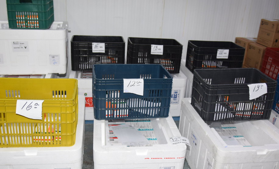 Mais de meio milhão de vacinas contra a Covid-19 serão distribuídas nesta sexta-feira. Foto: Américo Antonio/SESA