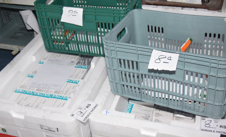 Mais de meio milhão de vacinas contra a Covid-19 serão distribuídas nesta sexta-feira. Foto: Américo Antonio/SESA