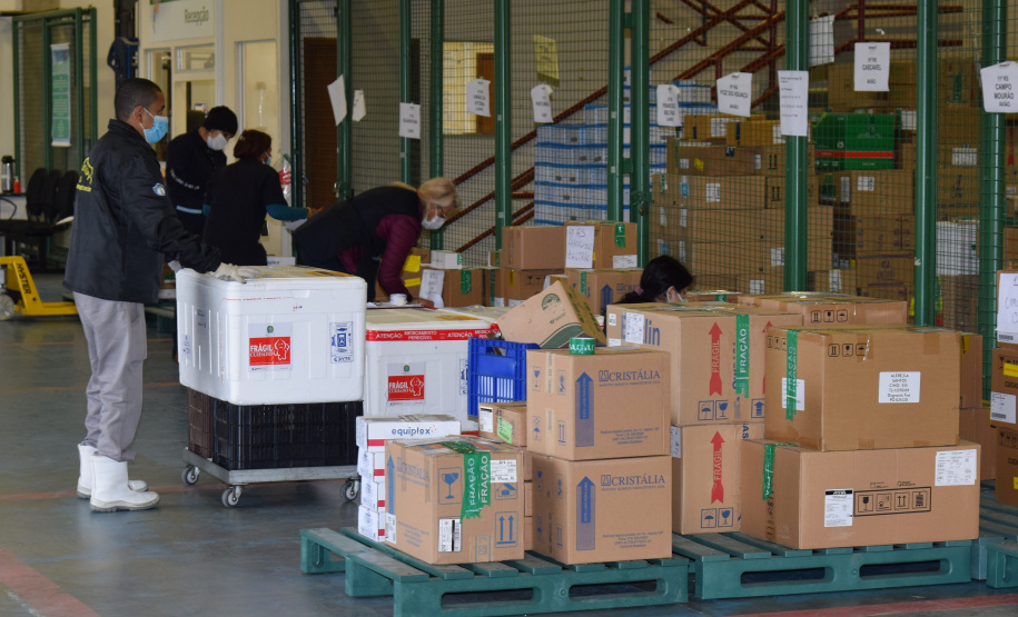 Mais de meio milhão de vacinas contra a Covid-19 serão distribuídas nesta sexta-feira. Foto: Américo Antonio/SESA