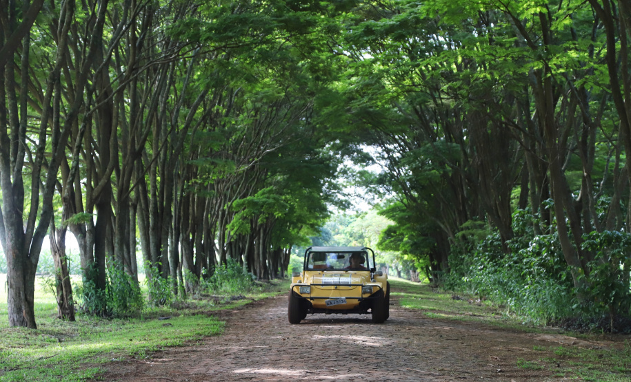 Tem praia, tem trilha, lugar para a família, cultura e aventura. Tem emoção, comida boa, rio e lagoa. Esse é um dos trechos da trilha sonora que embala a campanha de marketing da retomada do turismo no Paraná. Na foto, Itaipulândia. Foto: José Fernando Ogura/AEN
