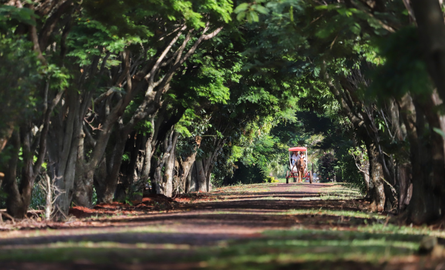 Tem praia, tem trilha, lugar para a família, cultura e aventura. Tem emoção, comida boa, rio e lagoa. Esse é um dos trechos da trilha sonora que embala a campanha de marketing da retomada do turismo no Paraná. Na foto, Itaipulândia. Foto: José Fernando Ogura/AEN