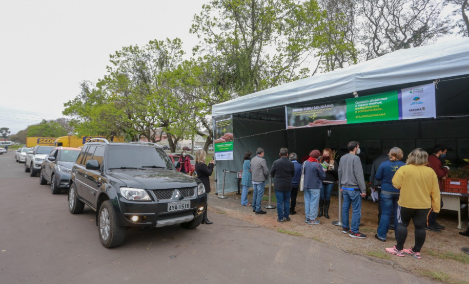 A primeira-dama Luciana Saito Massa, que preside o Conselho de Ação Solidária, e o secretário de Desenvolvimento Sustentável e do Turismo, Márcio Nunes, participam  da distribuição de mudas da campanha Floresce Paraná.F oto: Valdelino Pontes