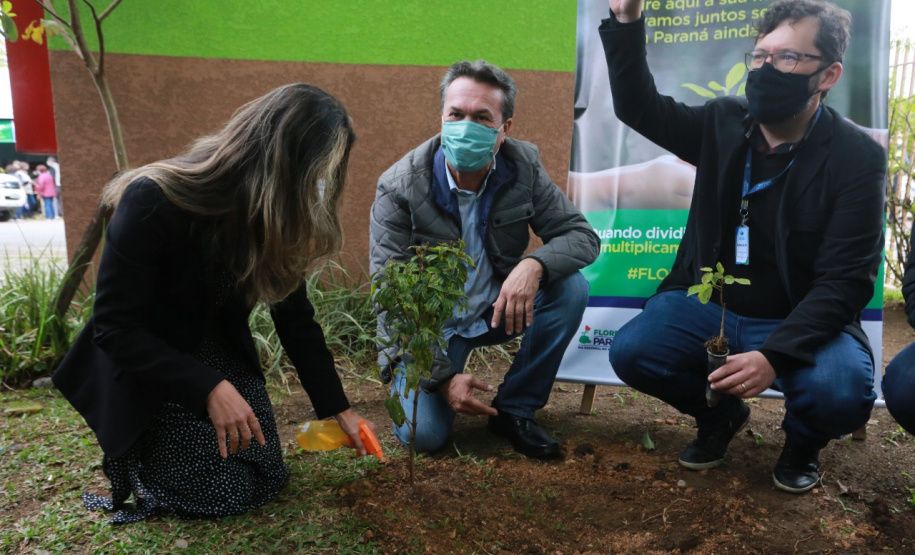 A primeira-dama Luciana Saito Massa, que preside o Conselho de Ação Solidária, e o secretário de Desenvolvimento Sustentável e do Turismo, Márcio Nunes, participam  da distribuição de mudas da campanha Floresce Paraná.F oto: Valdelino Pontes
