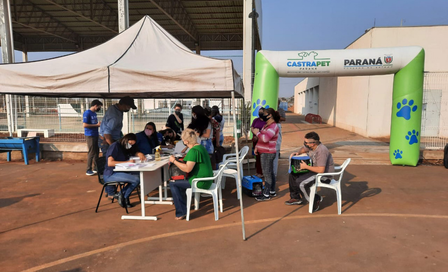 Programa CastraPet esteriliza gratuitamente animais em Guarapuava até a próxima terça-feira. Foto:SEDEST