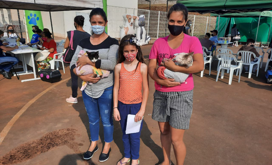 Programa CastraPet esteriliza gratuitamente animais em Guarapuava até a próxima terça-feira. Foto:SEDEST