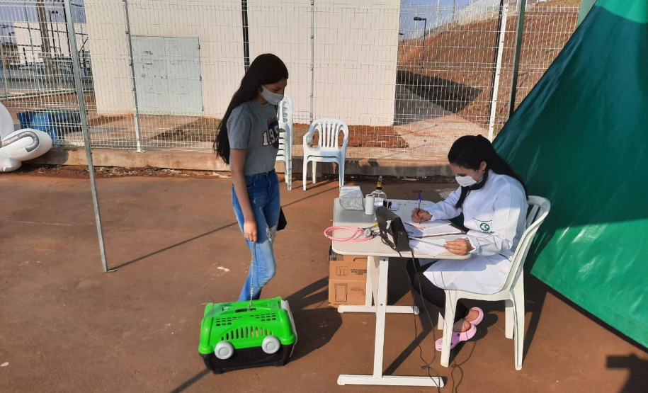 Programa CastraPet esteriliza gratuitamente animais em Guarapuava até a próxima terça-feira. Foto:SEDEST
