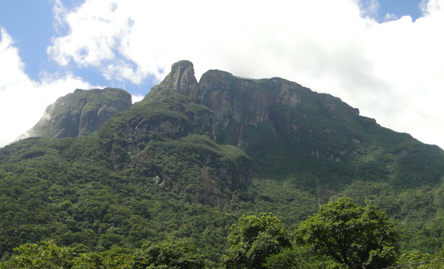 Parque Estadual Pico do Marumbi. Foto: Arnaldo Alves / AEN