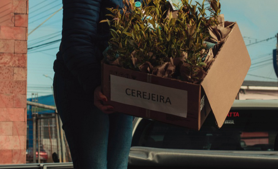 Ação acontece entre os dias 01 e 10 de setembro. Objetivo é incentivar o plantio de mudas de árvores nativas e arrecadar alimentos para ajudar famílias em situação de vulnerabilidade social.  -  curitiba, 30/08/2021  -  Foto: IAT