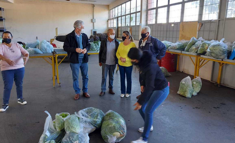 Compra Direta contribui para alimentação saudável e geração de renda no campo em Paranavaí  -  Curitiba, 31/08/2021  -  Foto: SEAB Paranavaí