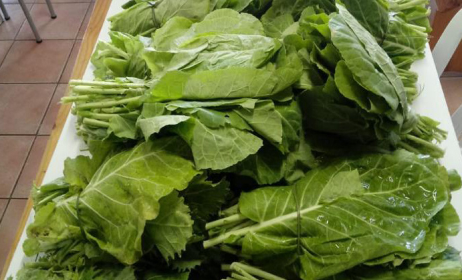 Compra Direta contribui para alimentação saudável e geração de renda no campo em Paranavaí  -  Curitiba, 31/08/2021  -  Foto: SEAB Paranavaí