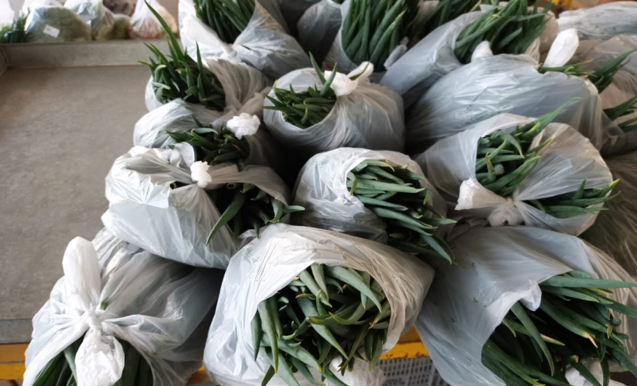 Compra Direta contribui para alimentação saudável e geração de renda no campo em Paranavaí  -  Curitiba, 31/08/2021  -  Foto: SEAB Paranavaí