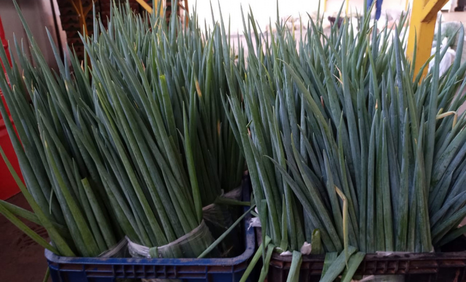 Compra Direta contribui para alimentação saudável e geração de renda no campo em Paranavaí  -  Curitiba, 31/08/2021  -  Foto: SEAB Paranavaí