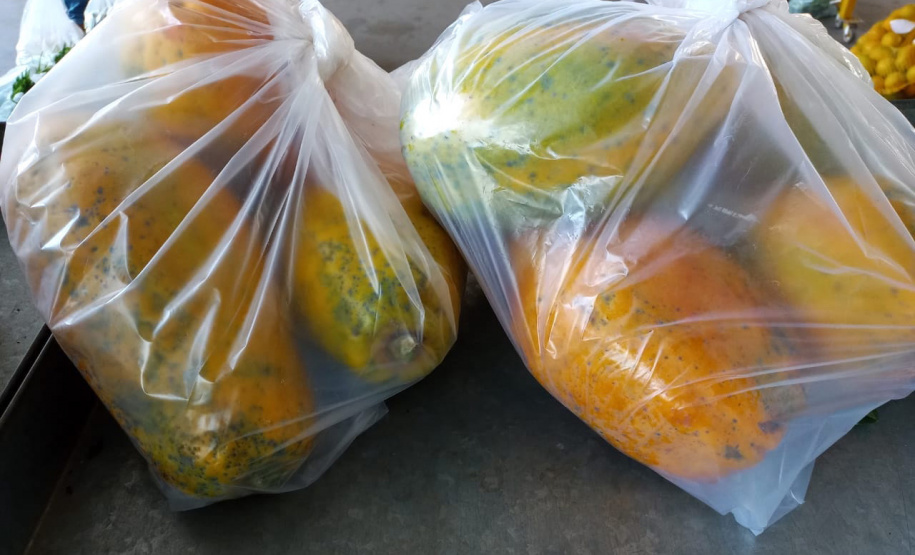 Compra Direta contribui para alimentação saudável e geração de renda no campo em Paranavaí  -  Curitiba, 31/08/2021  -  Foto: SEAB Paranavaí