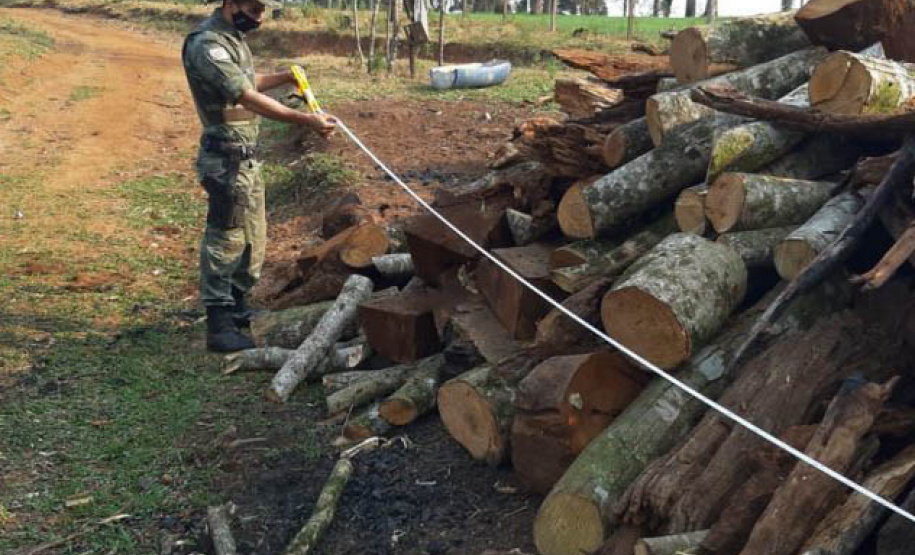 Policiais e agentes do IAT aplicam mais de R$ 1 milhão de multas e quatro pessoas são presas durante a Operação Nascente Viva  -  Curitiba, 31/08/2021  -  Foto: PMPR