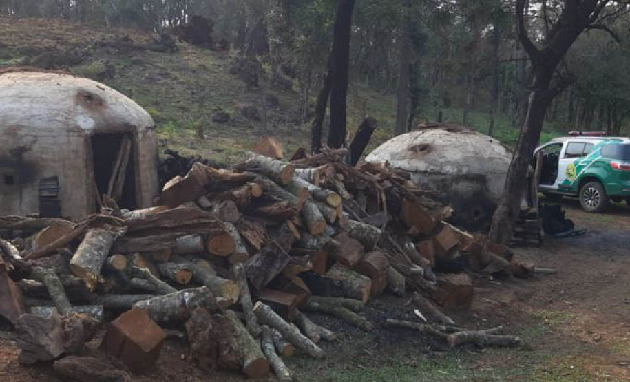 Policiais e agentes do IAT aplicam mais de R$ 1 milhão de multas e quatro pessoas são presas durante a Operação Nascente Viva  -  Curitiba, 31/08/2021  -  Foto: PMPR