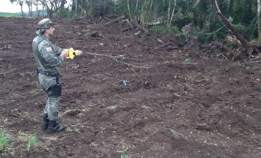 Estado aplica R$ 1 milhão em multas e apreende madeira nativa em ação contra o desmatamento  -  Curitiba, 31/08/2021  -  Foto: PMPR