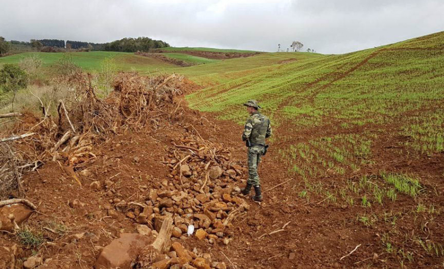 Policiais e agentes do IAT aplicam mais de R$ 1 milhão de multas e quatro pessoas são presas durante a Operação Nascente Viva  -  Curitiba, 31/08/2021  -  Foto: PMPR