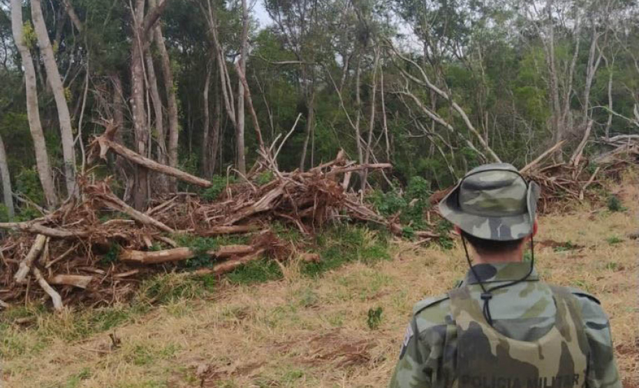 Estado aplica R$ 1 milhão em multas e apreende madeira nativa em ação contra o desmatamento  -  Curitiba, 31/08/2021  -  Foto: PMPR