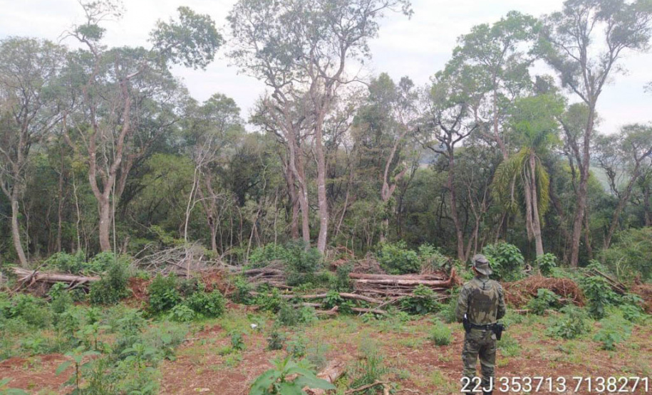 Estado aplica R$ 1 milhão em multas e apreende madeira nativa em ação contra o desmatamento  -  Curitiba, 31/08/2021  -  Foto: PMPR