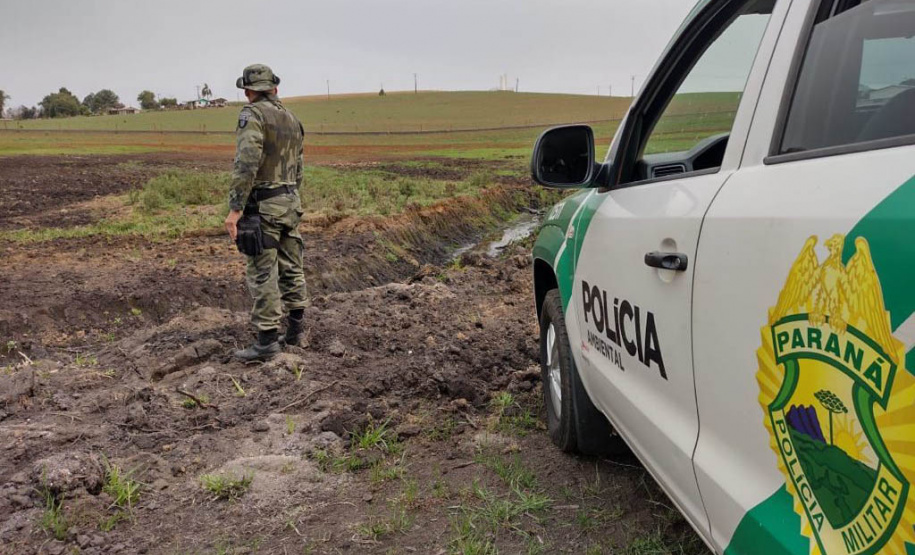 Estado aplica R$ 1 milhão em multas e apreende madeira nativa em ação contra o desmatamento  -  Curitiba, 31/08/2021  -  Foto: PMPR