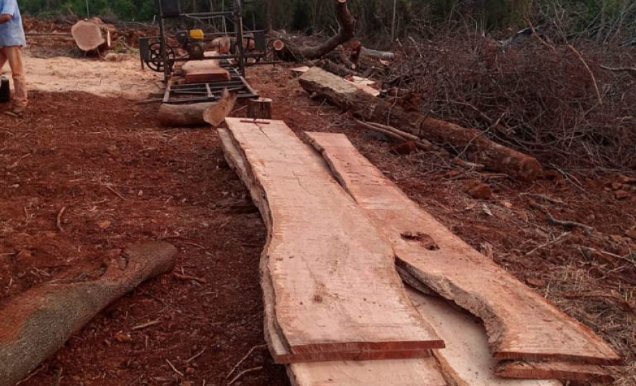 Estado aplica R$ 1 milhão em multas e apreende madeira nativa em ação contra o desmatamento  -  Curitiba, 31/08/2021  -  Foto: PMPR