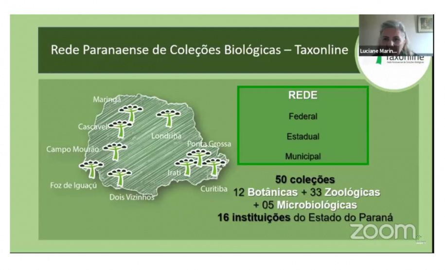 Seminário do NAPI Taxoline  -  Foto: Fundação Araucária