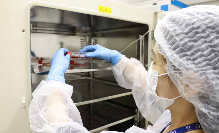 Tecpar analisa qualidade de produtos para indústria da saúde.
Foto: Arnaldo Alves / Arquivo AEN