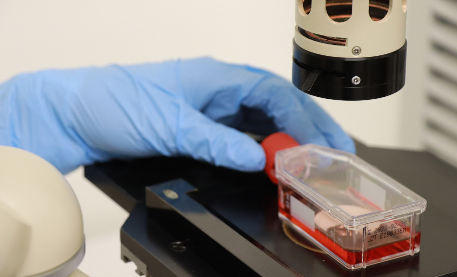 Tecpar analisa qualidade de produtos para indústria da saúde.
Foto: Arnaldo Alves / Arquivo AEN