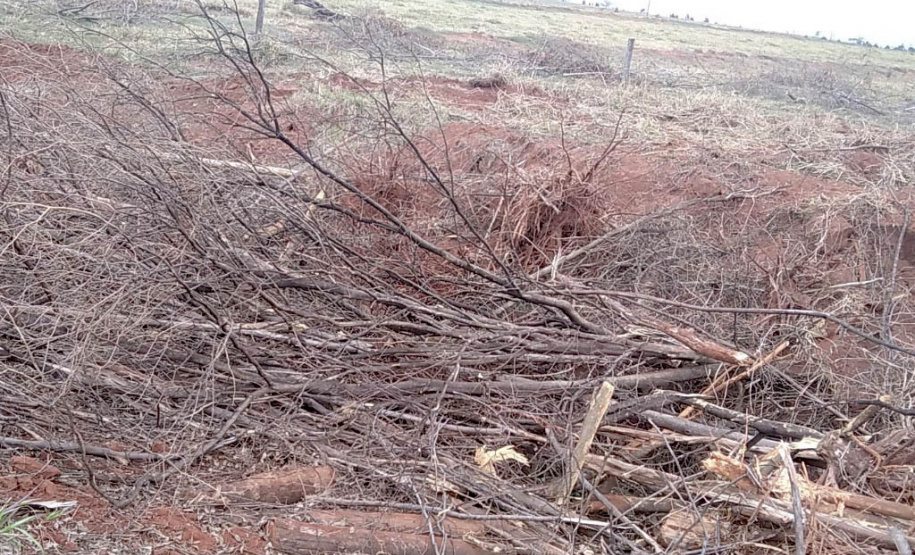 Em força-tarefa nesta quarta-feira (01), o Escritório Regional de Umuarama do Instituto Água e Terra (IAT), fiscalizou denúncias de desmatamento ilegal no município de Cruzeiro do Oeste, no Noroeste do Estado.- Curitiba, 01/08/2021 - Foto: IAT
