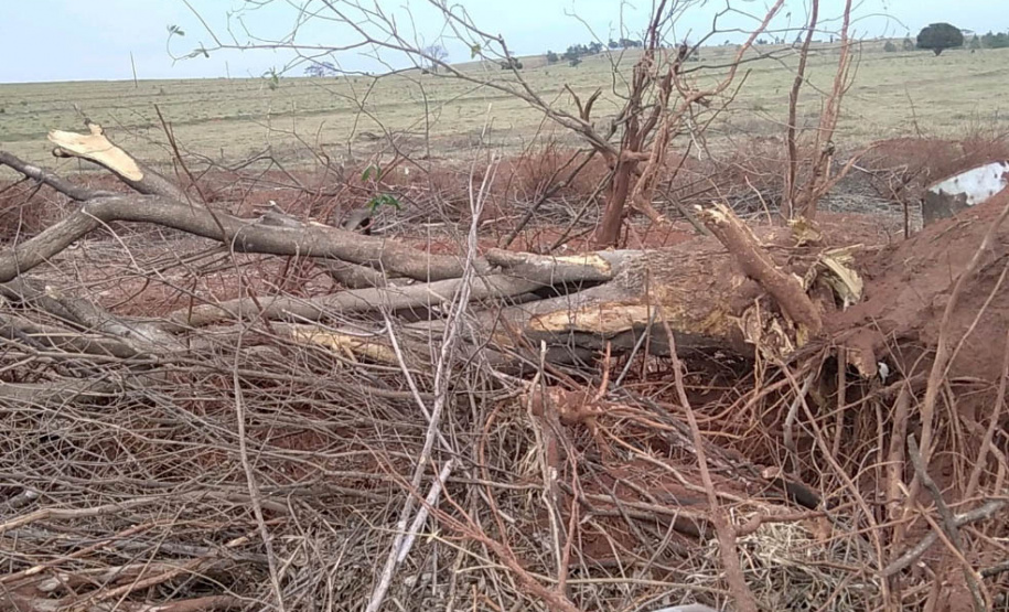 Em força-tarefa nesta quarta-feira (01), o Escritório Regional de Umuarama do Instituto Água e Terra (IAT), fiscalizou denúncias de desmatamento ilegal no município de Cruzeiro do Oeste, no Noroeste do Estado.- Curitiba, 01/08/2021 - Foto: IAT
