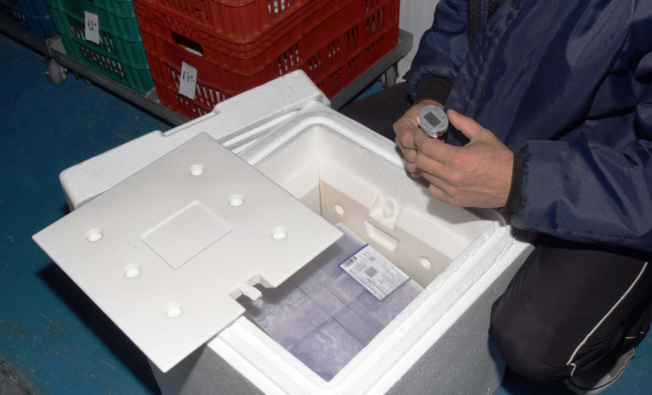 Mais 79,5 mil vacinas contra a Covid-19 chegam ao Paraná. Foto: Américo Antonio/SESA