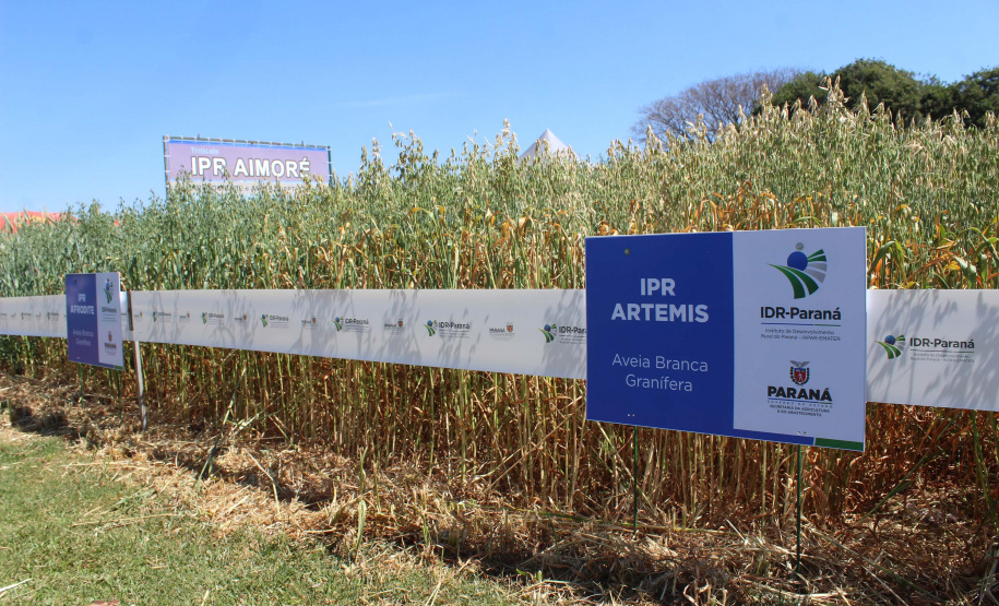 O o secretário estadual da Agricultura e do Abastecimento, Norberto Ortigara, participa da abertura do 2º Show Rural Coopavel de Inverno, em Cascavel. Foto:SEAB