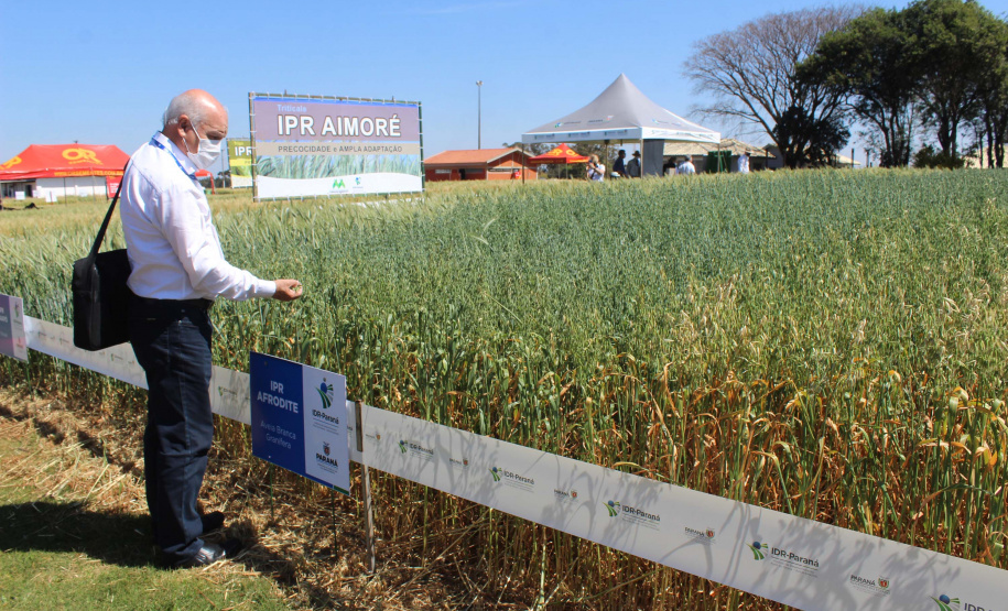 O o secretário estadual da Agricultura e do Abastecimento, Norberto Ortigara, participa da abertura do 2º Show Rural Coopavel de Inverno, em Cascavel. Foto:SEAB