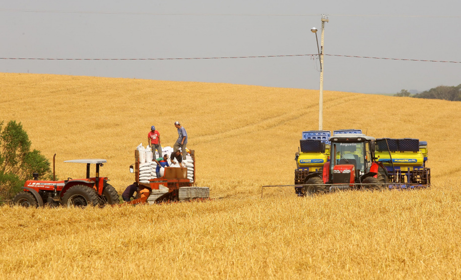 Produtores de milho começam plantio da primeira safra no Paraná.  Foto:Jaelson Lucas / Arquivo AEN