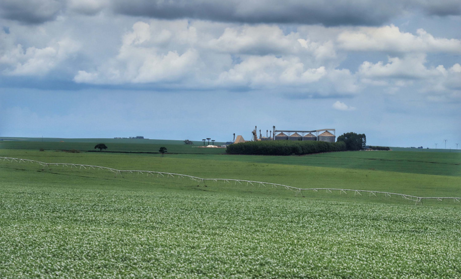 Ministério atende reivindicação do Paraná e altera calendário de plantio de soja na safra 2021/22. Foto: José Fernando Ogura/AEN