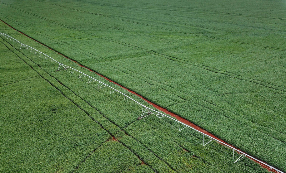 Ministério atende reivindicação do Paraná e altera calendário de plantio de soja na safra 2021/22 . Foto: José Fernando Ogura/AEN