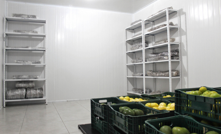 Nesta quinta-feira (02) foram inauguradas as instalações de um viveiro para material propagativo de videira na unidade do Instituto de Desenvolvimento Rural do Paraná (IDR-Paraná) em Santa Tereza do Oeste, no Oeste do Estado. A iniciativa faz parte do Programa de Revitalização da Vitinicultura Paranaense (Revitis). - Santa Terza do Oeste, 02/09/2021  -  Foto: Gisele barão/IDR-Paraná