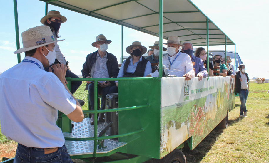 Nesta quinta-feira (02) foram inauguradas as instalações de um viveiro para material propagativo de videira na unidade do Instituto de Desenvolvimento Rural do Paraná (IDR-Paraná) em Santa Tereza do Oeste, no Oeste do Estado. A iniciativa faz parte do Programa de Revitalização da Vitinicultura Paranaense (Revitis). - Santa Terza do Oeste, 02/09/2021  -  Foto: Gisele barão/IDR-Paraná