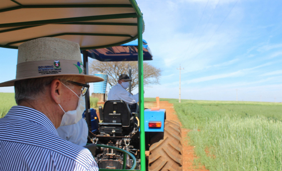 Nesta quinta-feira (02) foram inauguradas as instalações de um viveiro para material propagativo de videira na unidade do Instituto de Desenvolvimento Rural do Paraná (IDR-Paraná) em Santa Tereza do Oeste, no Oeste do Estado. A iniciativa faz parte do Programa de Revitalização da Vitinicultura Paranaense (Revitis). - Santa Terza do Oeste, 02/09/2021  -  Foto: Gisele barão/IDR-Paraná