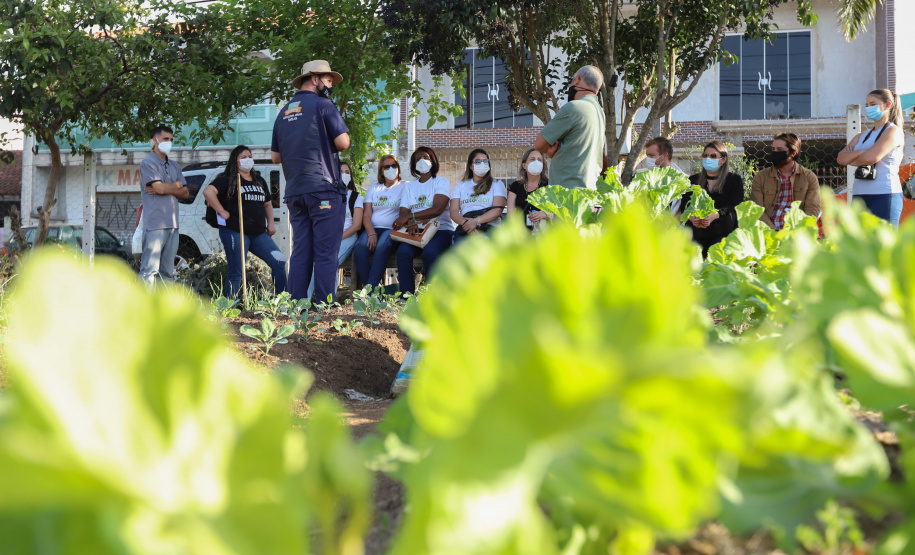 Visita a Horta Marumbi ?  A equipe da Secretaria da Agricultura e do Abastecimento do Paraná recebe equipe da SEAB Rondônia para apresentar soluçoes implantadas em Curitiba sobre o cultivo de alimentos. 03/09/2021 - Foto: Geraldo Bubniak/AEN