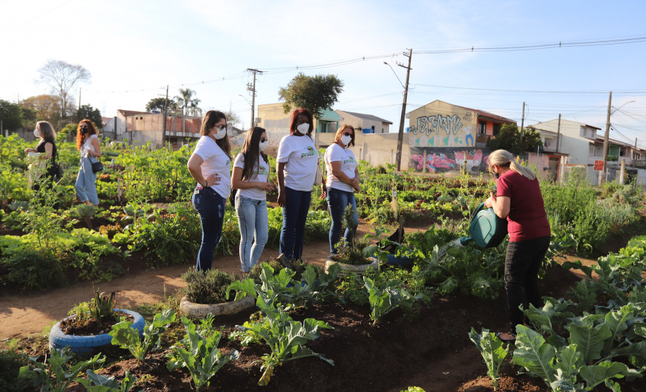 Visita a Horta Marumbi ?  A equipe da Secretaria da Agricultura e do Abastecimento do Paraná recebe equipe da SEAB Rondônia para apresentar soluçoes implantadas em Curitiba sobre o cultivo de alimentos. 03/09/2021 - Foto: Geraldo Bubniak/AEN
