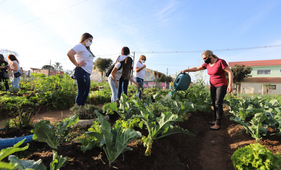 Visita a Horta Marumbi ?  A equipe da Secretaria da Agricultura e do Abastecimento do Paraná recebe equipe da SEAB Rondônia para apresentar soluçoes implantadas em Curitiba sobre o cultivo de alimentos. 03/09/2021 - Foto: Geraldo Bubniak/AEN