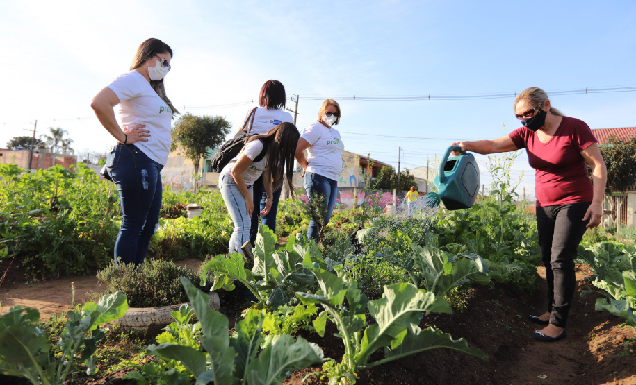 Visita a Horta Marumbi ?  A equipe da Secretaria da Agricultura e do Abastecimento do Paraná recebe equipe da SEAB Rondônia para apresentar soluçoes implantadas em Curitiba sobre o cultivo de alimentos. 03/09/2021 - Foto: Geraldo Bubniak/AEN