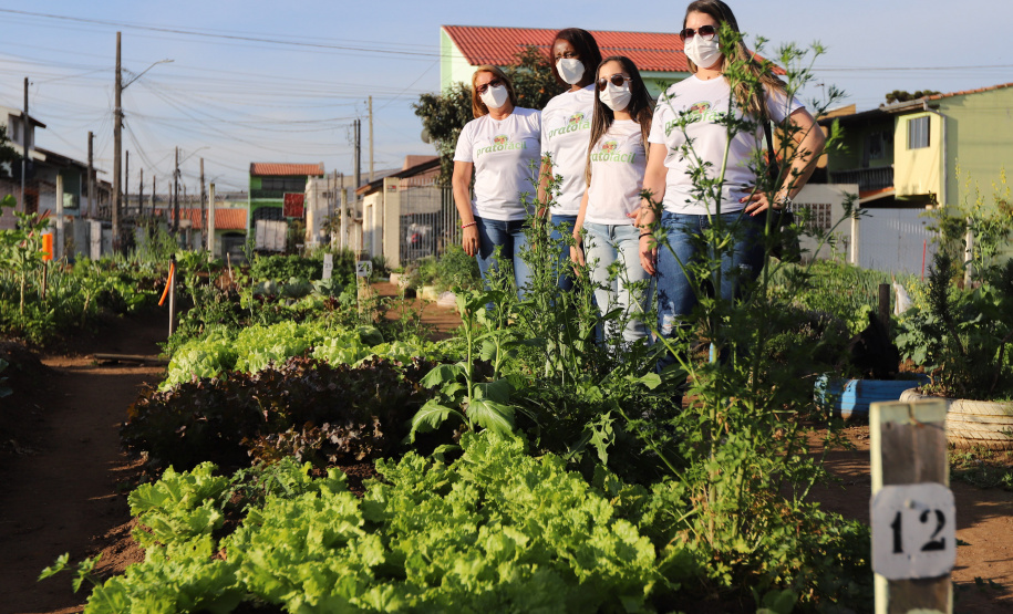 Visita a Horta Marumbi ?  A equipe da Secretaria da Agricultura e do Abastecimento do Paraná recebe equipe da SEAB Rondônia para apresentar soluçoes implantadas em Curitiba sobre o cultivo de alimentos. 03/09/2021 - Foto: Geraldo Bubniak/AEN